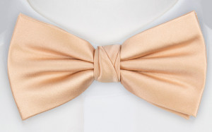 Satin Powder Peach butterfly