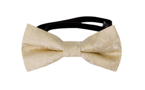 SAVETHEDATE Champagne babybutterfly