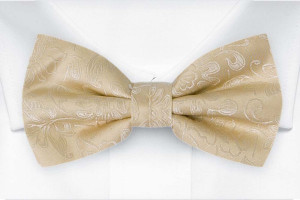 SAVETHEDATE Champagne børnebutterfly