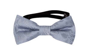 SAVETHEDATE Dusty blue babybutterfly