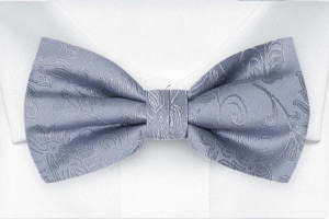 SAVETHEDATE Dusty blue butterfly