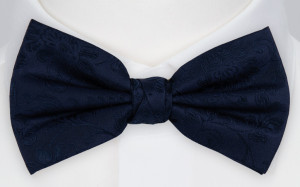 SAVETHEDATE NAVY butterfly