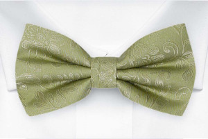 SAVETHEDATE Tea green butterfly