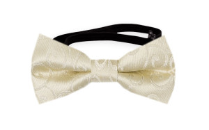 SNAZZY Champagne babybutterfly