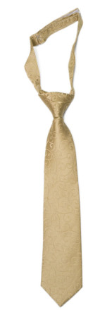 SNAZZY Gold børneslips lille forbundet