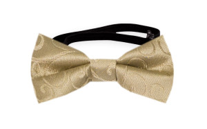 SNAZZY Gold babybutterfly