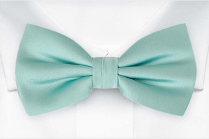 SOLID Aquamarine turquoise butterfly
