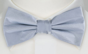 SOLID Baby blue butterfly