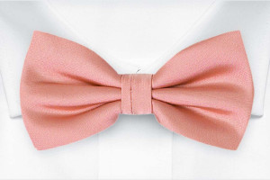 SOLID Blush pink butterfly