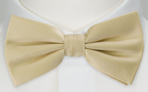 SOLID Champagne butterfly