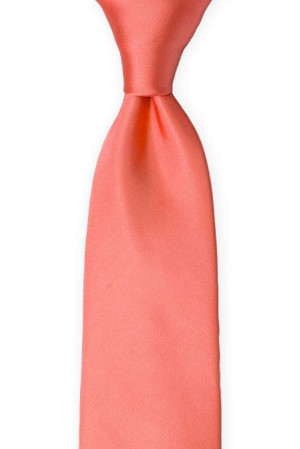 SOLID Dark coral slips