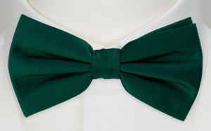 SOLID Dark green butterfly