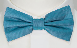 SOLID Dark turquoise butterfly