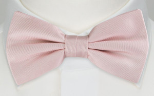 SOLID Dusty pink butterfly