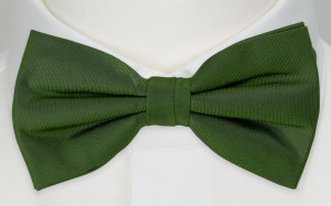 SOLID Green butterfly