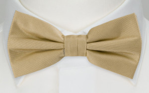 SOLID Khaki butterfly
