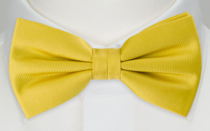 SOLID Lemon butterfly