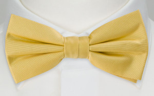 SOLID Light yellow butterfly