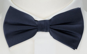 SOLID Navy blue butterfly