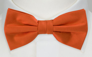 SOLID Orange butterfly