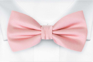 SOLID Pale pink butterfly