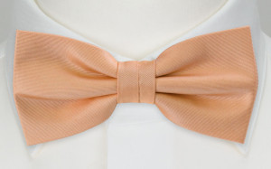 SOLID Peach butterfly