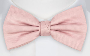 Solid Powder Pink butterfly