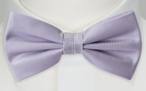 SOLID Powder purple butterfly