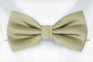 SOLID Sage green butterfly