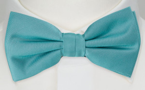 SOLID Turquoise butterfly