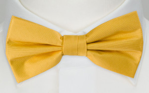 SOLID Yellow butterfly