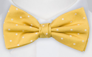 SPOTONDOT YELLOW butterfly