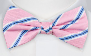 STRAIGHTONSTRIPE PINK butterfly