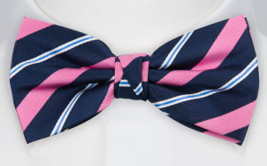 STRIPEFORWARD PINK butterfly