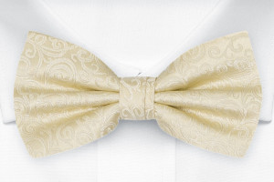 SWANKY Champagne børnebutterfly