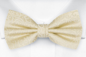 SWANKY Champagne butterfly