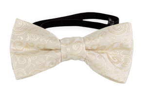 SWANKY IVORY babybutterfly