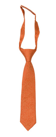 SWANKY ORANGE børneslips lille forbundet