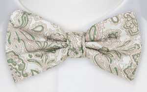 SWEETHEARTER GREEN butterfly
