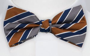 THELOOKER NAVY CINNAMON butterfly
