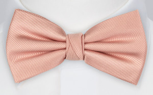 Twillie Blush Pink butterfly