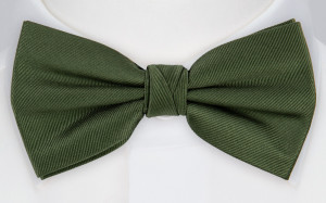 Twillie Seaweed Green butterfly