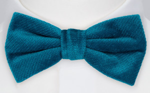 Velvet Blue Teal butterfly