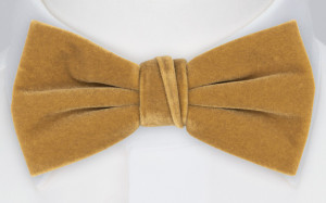 Velvet Butterscotch Beige butterfly