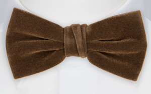 Velvet Cocoa Brown butterfly