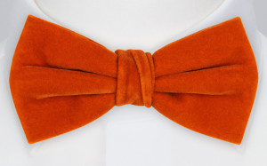 Velvet Deep Orange butterfly