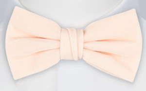 Velvet Powder Pink butterfly