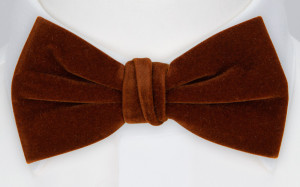 Velvet Toffee Brown butterfly