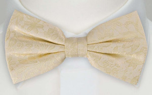 VIGSEL CHAMPAGNE bunden butterfly
