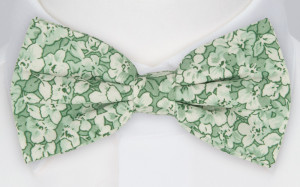 WEDDEBLIS GREEN butterfly